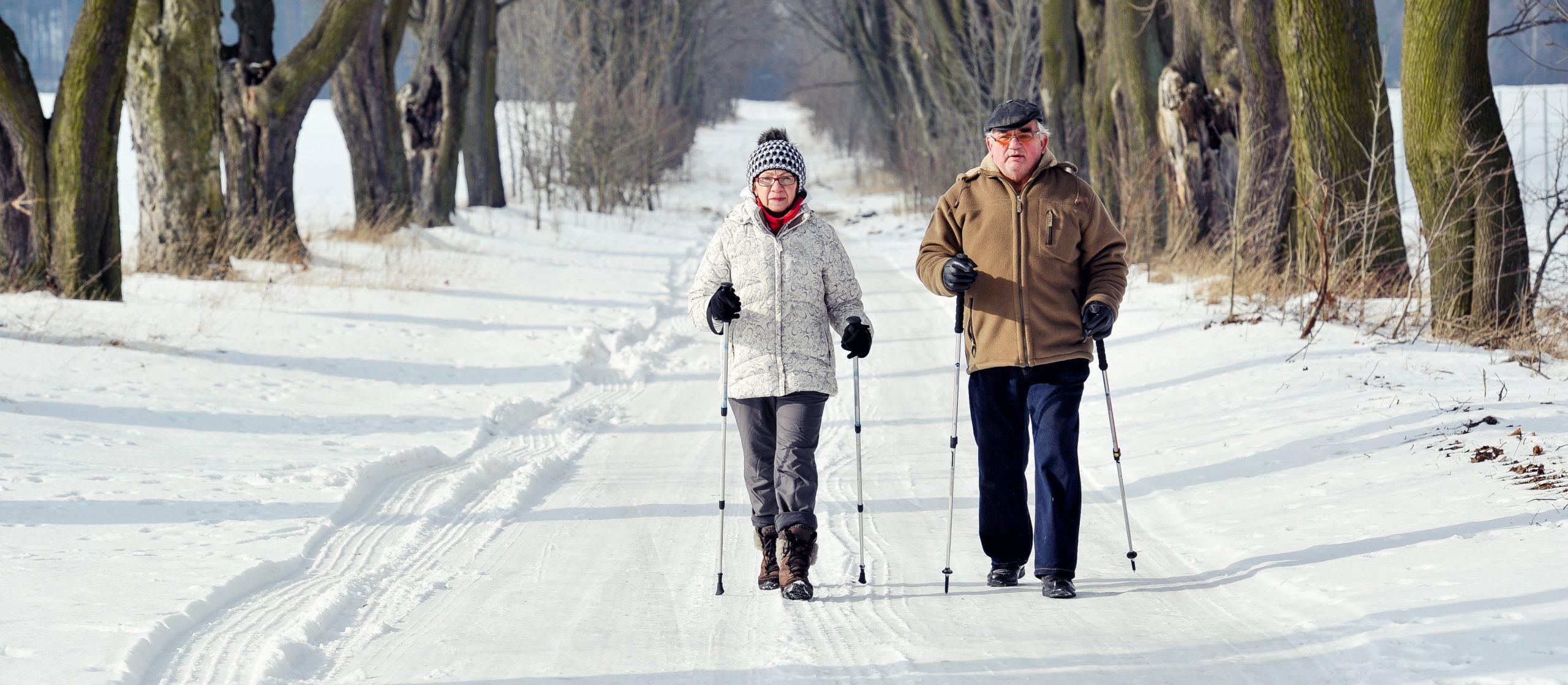 An elderly couple walking on winter roads with walking sticks