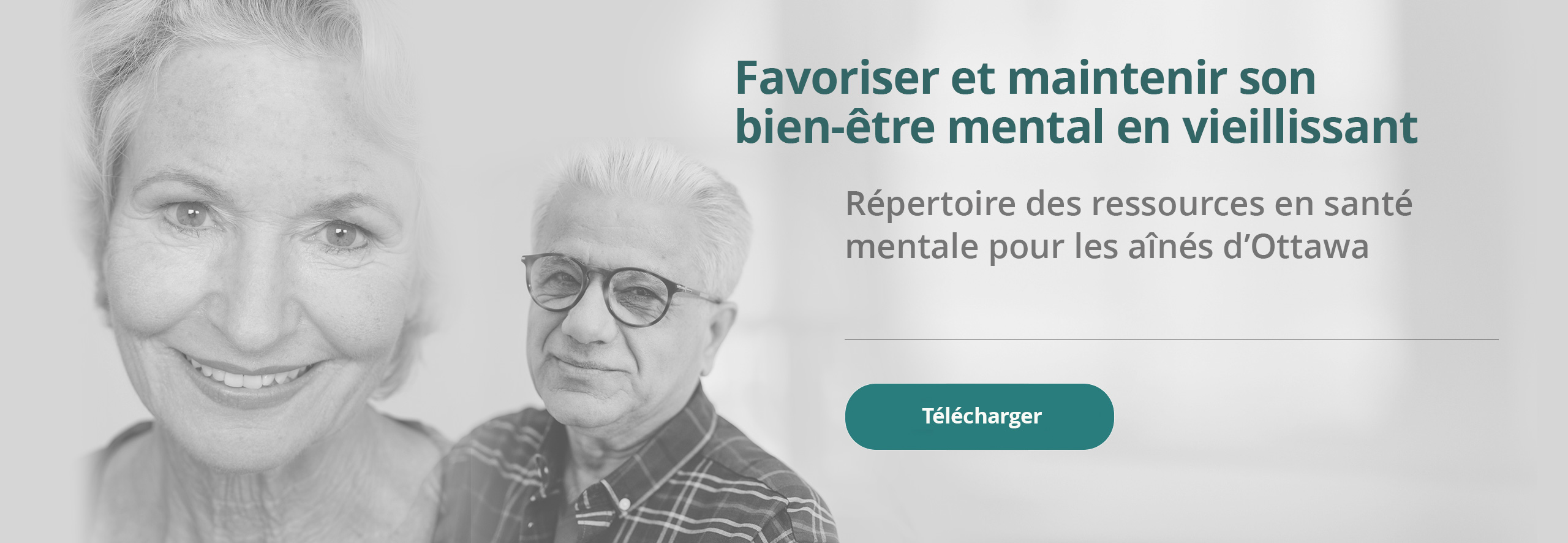 French banner